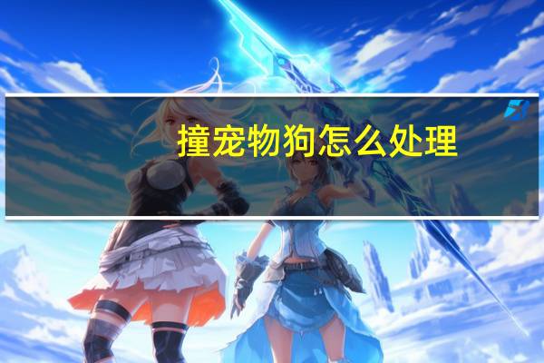 撞宠物狗怎么处理