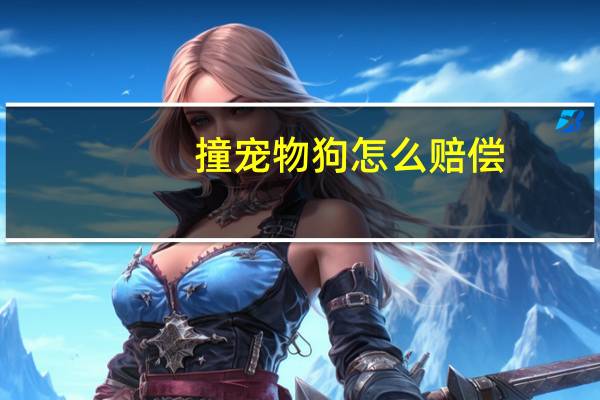 撞宠物狗怎么赔偿