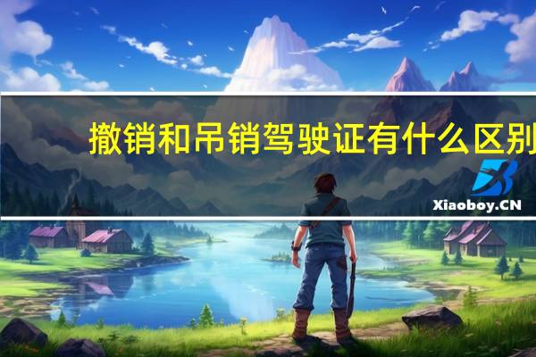 撤销和吊销驾驶证有什么区别（吊销和撤销驾驶证的区别）