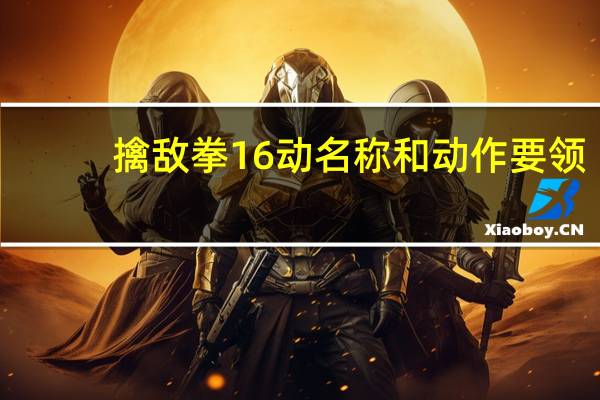 擒敌拳16动名称和动作要领（擒敌拳16动名称）