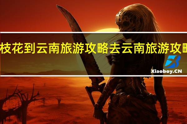 攀枝花到云南旅游攻略 去云南旅游攻略怎么做