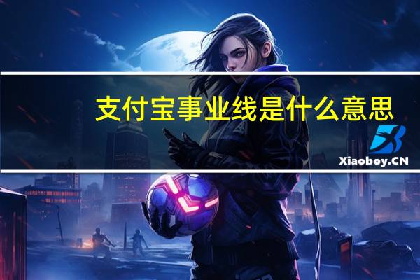 支付宝事业线是什么意思（事业线是什么意思）