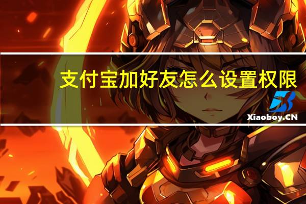 支付宝加好友怎么设置权限（支付宝加好友）