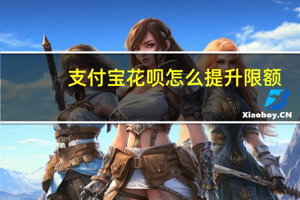 支付宝花呗怎么提升限额（支付宝花呗怎么提升额度）