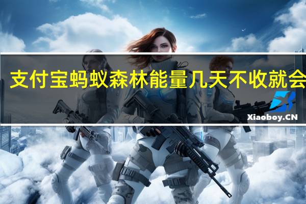 支付宝蚂蚁森林能量几天不收就会消失（支付宝蚂蚁森林能量对照表）