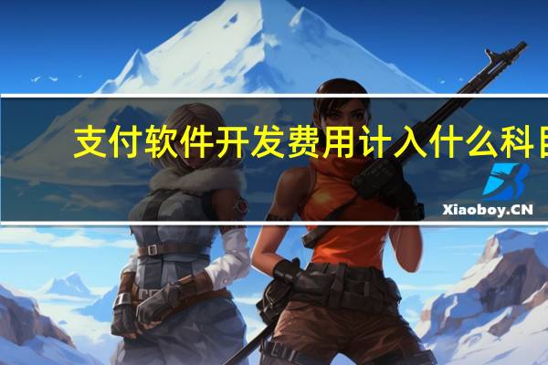 支付软件开发费用计入什么科目（软件开发费用计入什么科目）