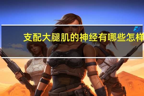 支配大腿肌的神经有哪些 怎样增加腿部肌肉的神经募集能力