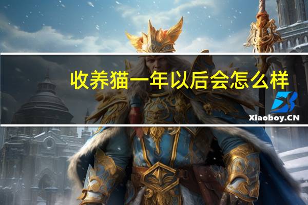 收养猫一年以后会怎么样