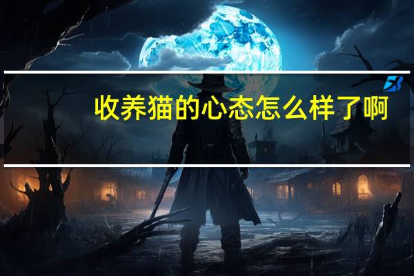 收养猫的心态怎么样了啊