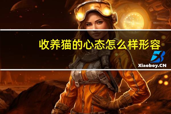收养猫的心态怎么样形容