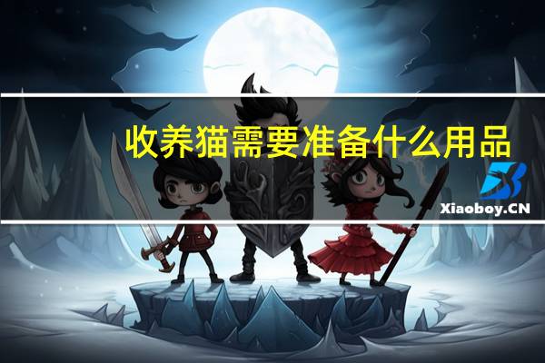 收养猫需要准备什么用品