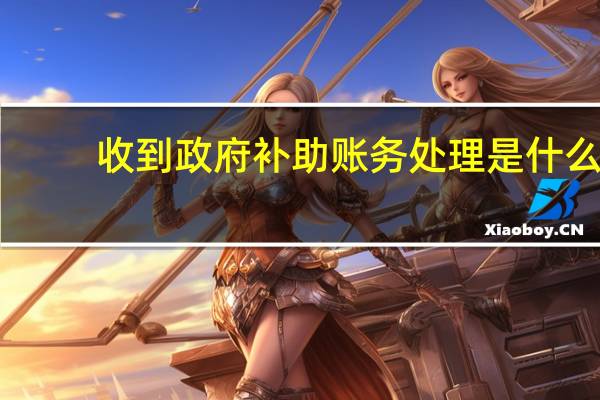 收到政府补助账务处理是什么