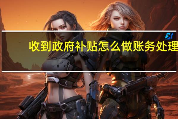 收到政府补贴怎么做账务处理