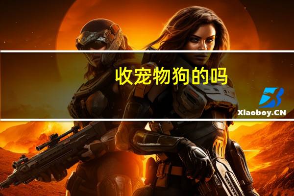 收宠物狗的吗