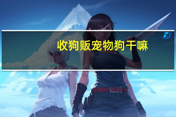 收狗贩宠物狗干嘛