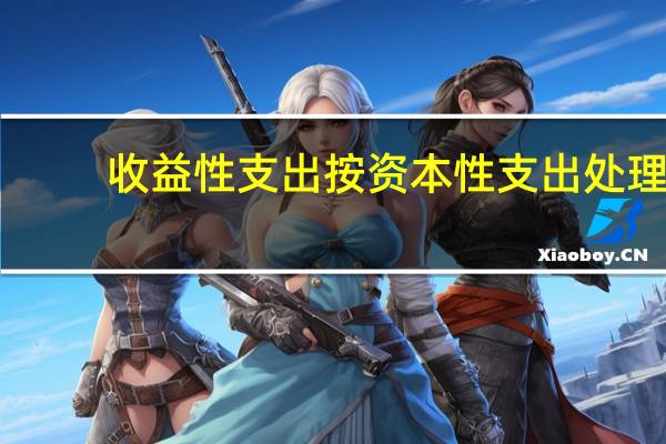 收益性支出按资本性支出处理（收益性支出）