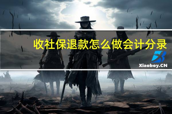 收社保退款怎么做会计分录（收到社保退款会计分录）