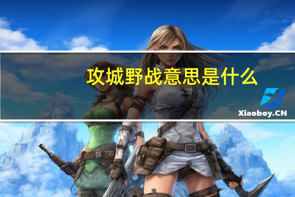 攻城野战意思是什么