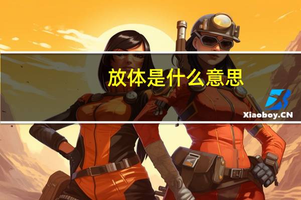 放体是什么意思