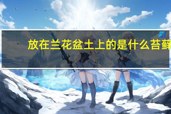 放在兰花盆土上的是什么苔藓