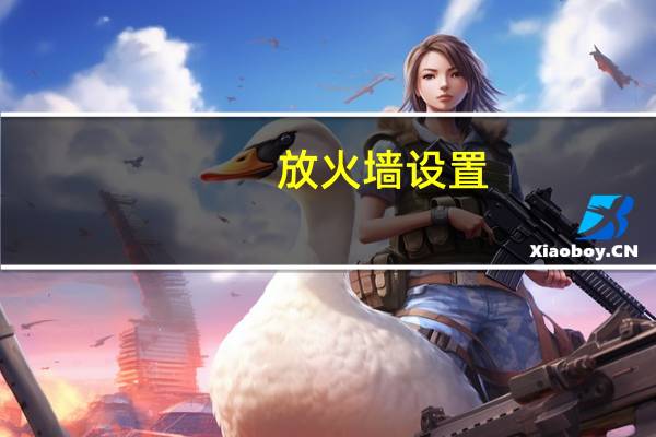 放火墙设置（放火墙）