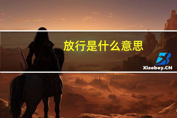 放行是什么意思