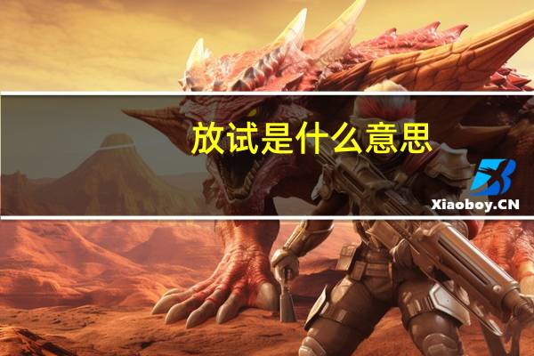 放试是什么意思