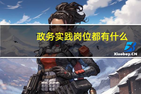 政务实践岗位都有什么