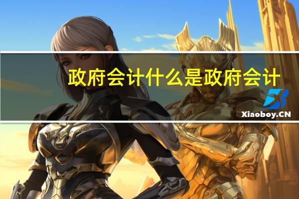 政府会计什么是政府会计
