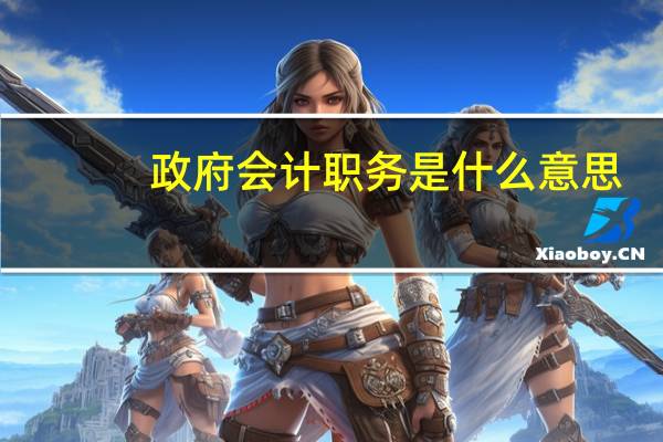 政府会计职务是什么意思