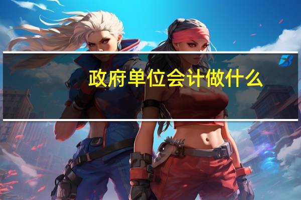 政府单位会计做什么