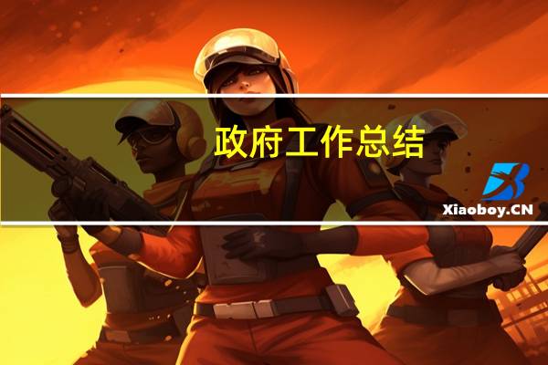 政府 工作总结（政府工作总结范文）