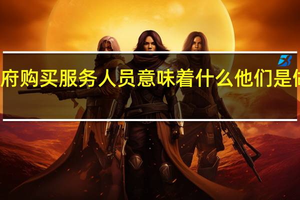 政府购买服务人员意味着什么他们是做什么的?