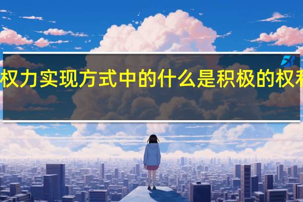 政治权力实现方式中的什么是积极的权利作用方式（政治权力）