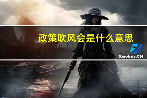 政策吹风会是什么意思（吹风会是什么意思）