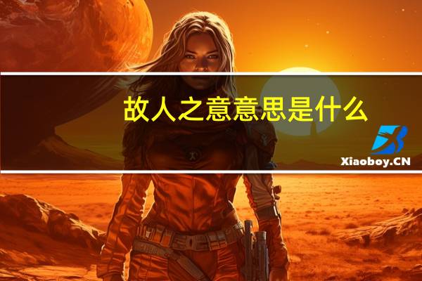 故人之意意思是什么