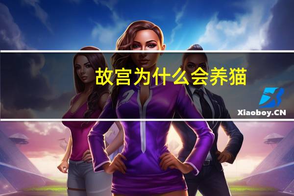 故宫为什么会养猫