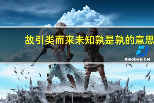 故引类而来未知孰是孰的意思