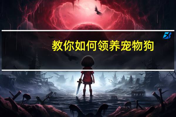 教你如何领养宠物狗