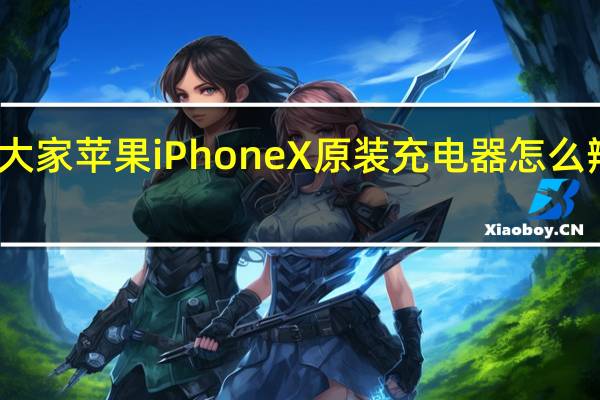 教大家苹果iPhoneX原装充电器怎么辨别真假