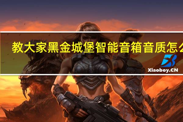 教大家黑金城堡智能音箱音质怎么样