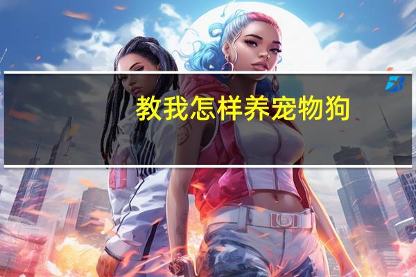 教我怎样养宠物狗