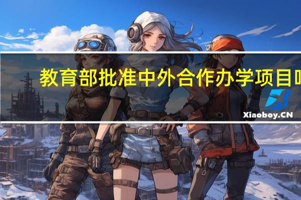 教育部批准中外合作办学项目吗
