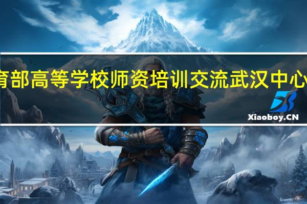 教育部高等学校师资培训交流武汉中心中心概述