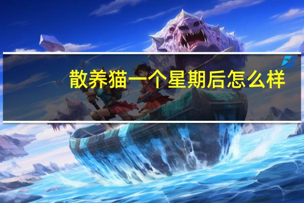 散养猫一个星期后怎么样