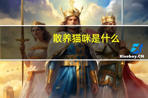 散养猫咪是什么