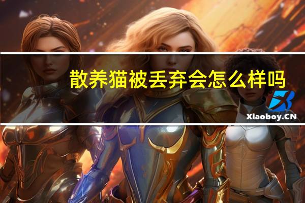 散养猫被丢弃会怎么样吗