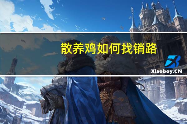 散养鸡如何找销路