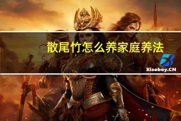 散尾竹怎么养家庭养法