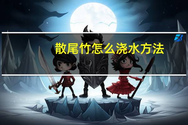 散尾竹怎么浇水方法